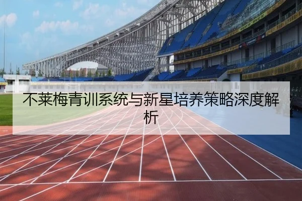 不莱梅青训系统与新星培养策略深度解析